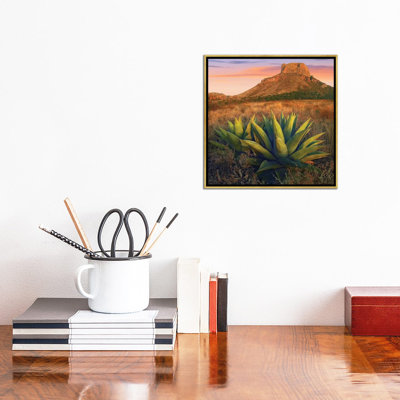 " Casa Grande Butte With Agave In Foreground, Big Bend National Park, Texas " by Tim Fitzharris