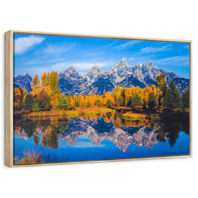 Feuillage doré Grand Teton