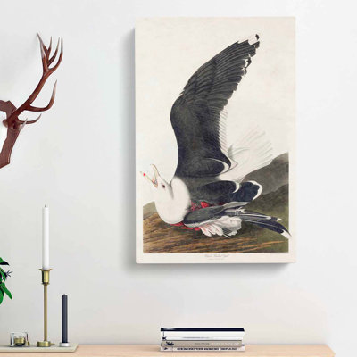 Black-Backed Gull - Wrapped Canvas Painting
