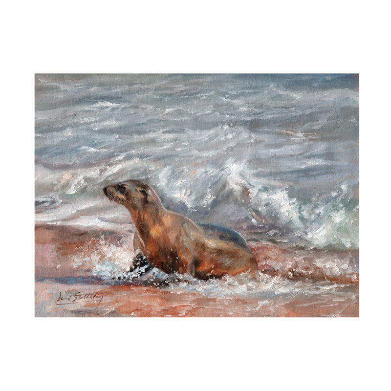 Art sur toile David Stribble Sealion, H 14 po x l 19 po
