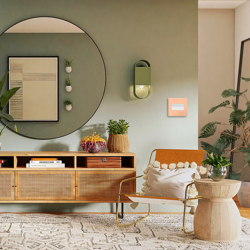 Peachy Matte 2-Gang Plastic Screwless Wall Plate