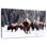 Winter Bisons