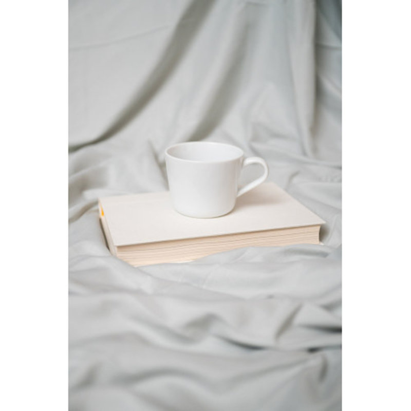 Sleep 4-Piece Rayon From Bamboo Sheet Set, Pewter, Queen Sheet Set with 2 Pillowcases