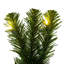 Vickerman 9' x 14" Deluxe Sequoia Garland WA 100WW