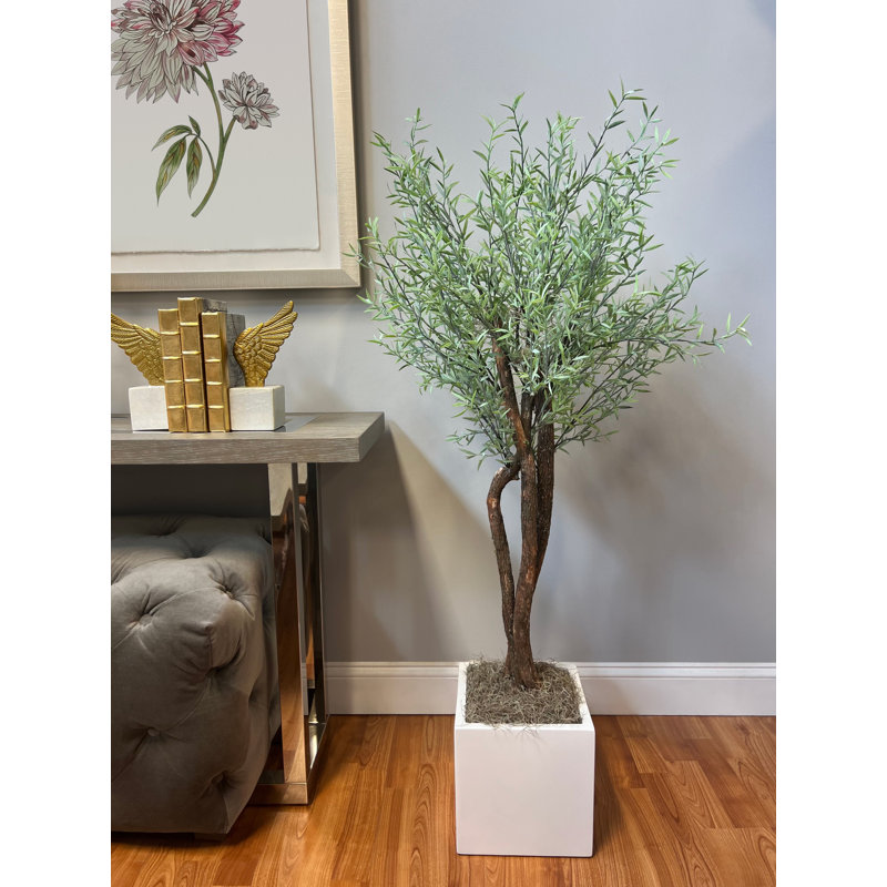 Green Myrtle Tree in White Pot