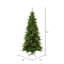 Sapin de Noël-190170303