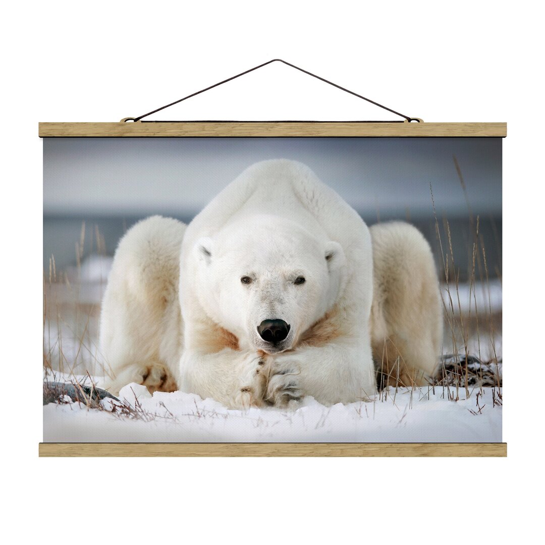 Fotodruck Pensive Polar Bear