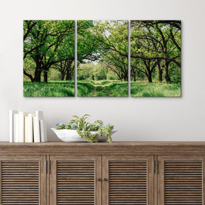 Southern Country Green Forest Tree Trail Nature Wilderness Photography Realism Rustic Landscape