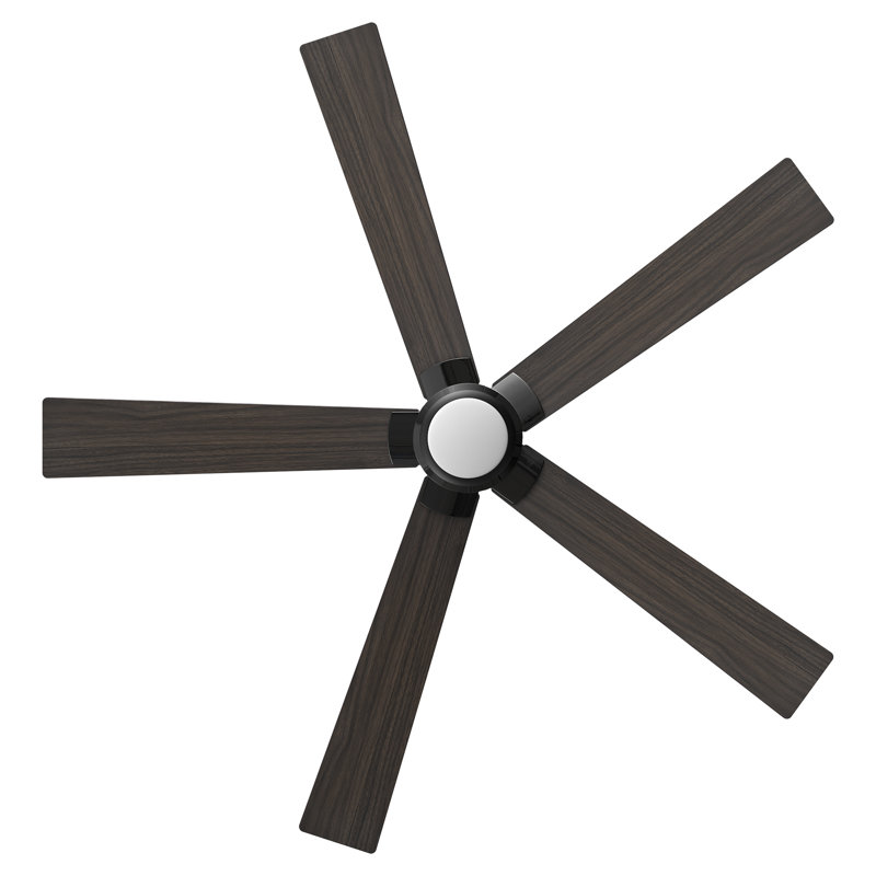 Ventilateur de plafond 60 po avec lumières DEL , Noyer foncé, Noir