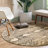 Ieshaa Indoor Rug-558222895
