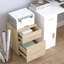 Caples 2 -Drawer Filing Storage Cabinet-25407692