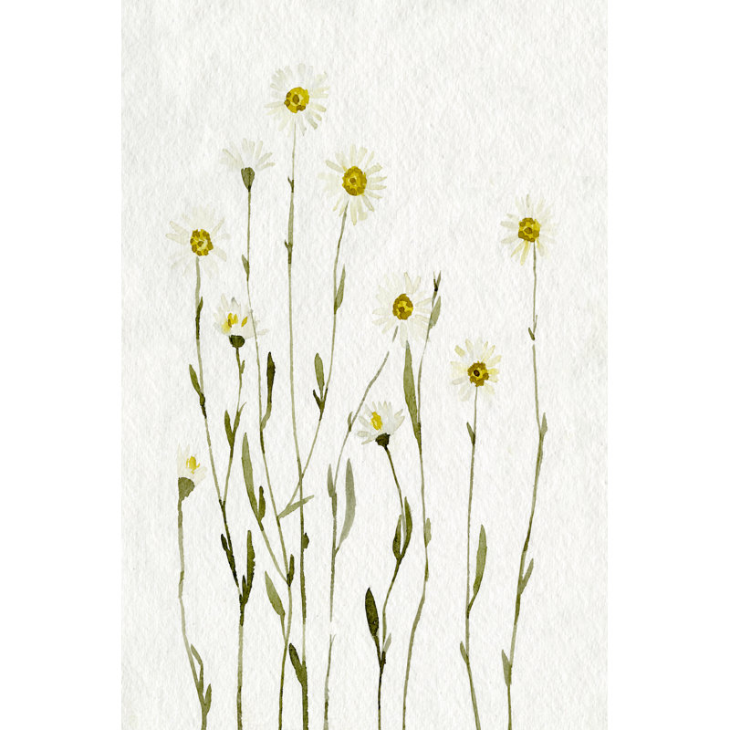 Marguerites blanches antiques I, H 12 po x l 8 po