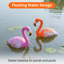 Flamant rose en plastique flottant, orange et rose-132923966
