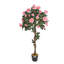 120cm Plant