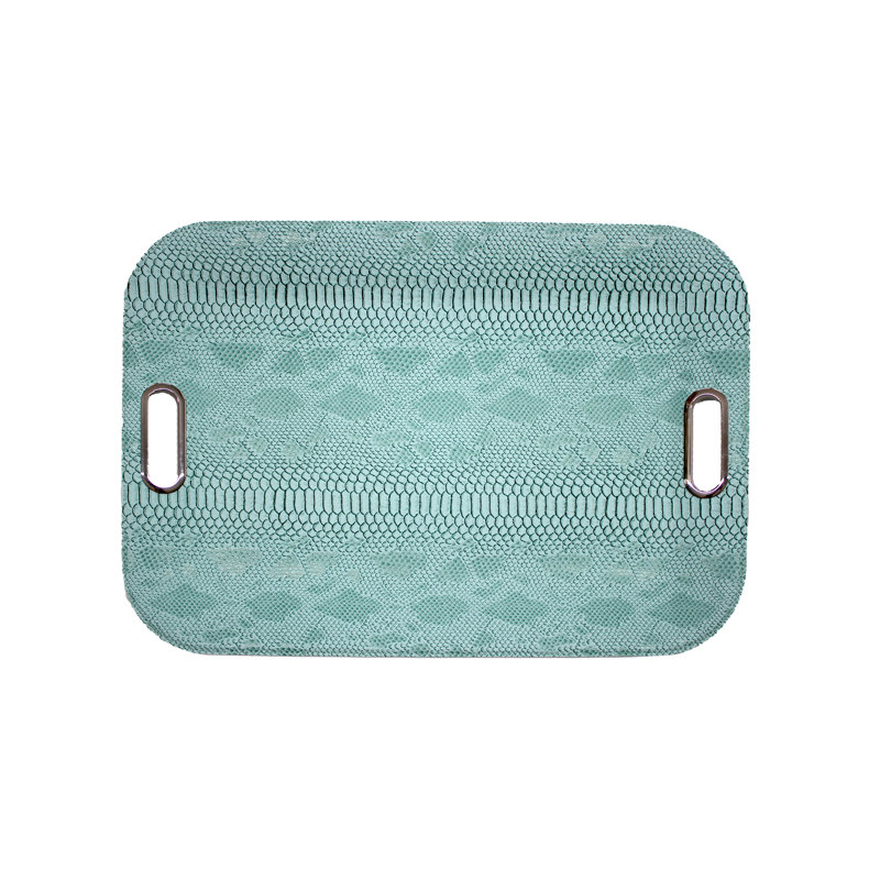Nicolet Tray