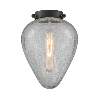 Shauna 8'' H Glass Novelty Pendant Shade