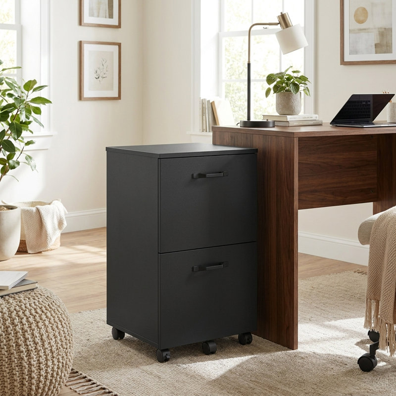 Cambrie 16.7" W 2-Drawer Mobile Vertical Filing Cabinet, Black