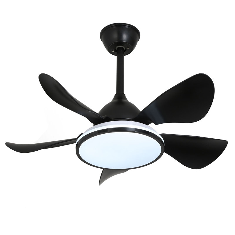 36 Inch Modern Ceiling Fan With Lights&Remote Control