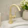 Lulani Aurora Single Hole Bathroom Faucet with Drain Assembly