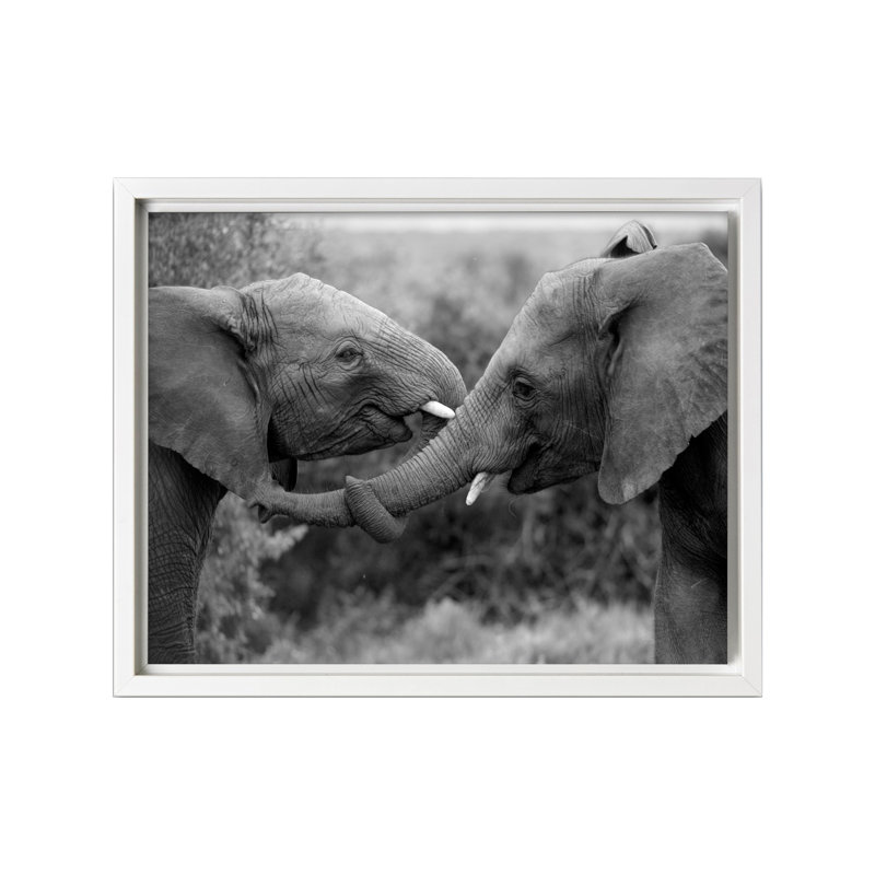 Éléphants bienveillants, Canevas, Encadrement blanc, H 11 po x l 14 po
