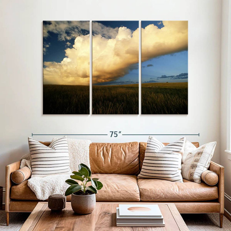 Alvord Theodore Roosevelt Park Clouds, 42" H x 65" W