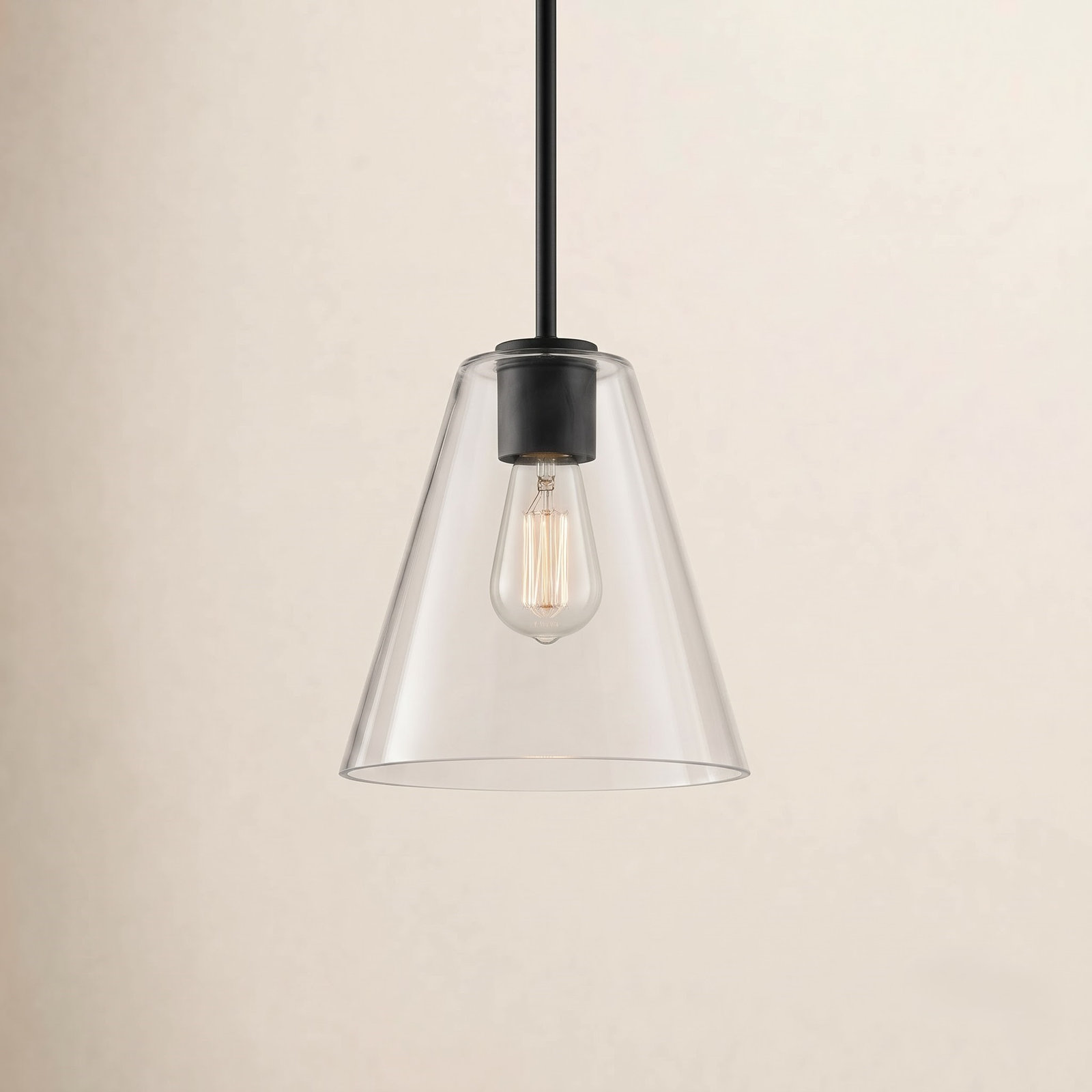 Hayden Dimmable Glass Cone Single Pendant Light, Clear, Midnight Black