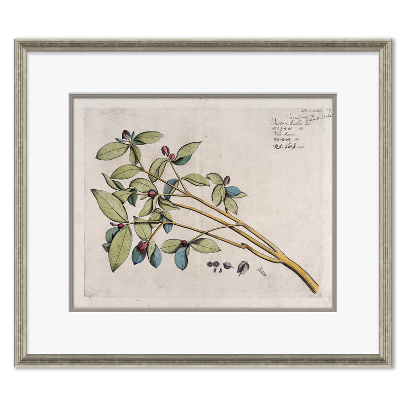 Malaberica (Colored) by Paul Cezanne - Picture Frame Painting Set on Paper