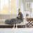 Heated Plush Oversized Throw-19321745