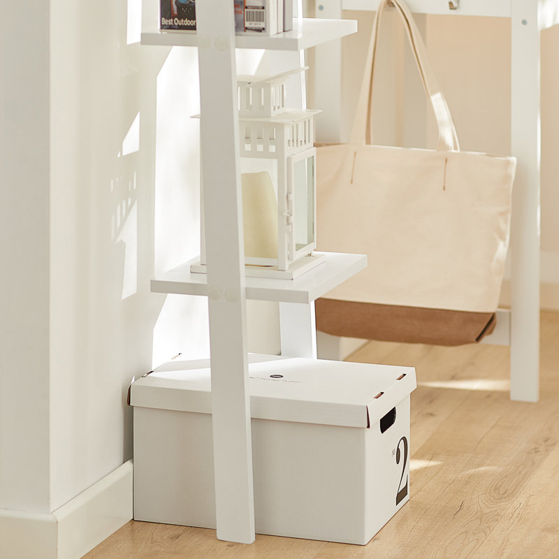 Nylah Ladder Bookcase, White
