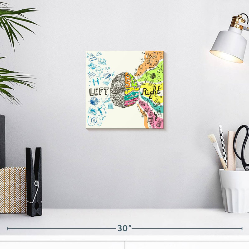 Alcaraz Brain Hemispheres, H 10 po x l 10 po