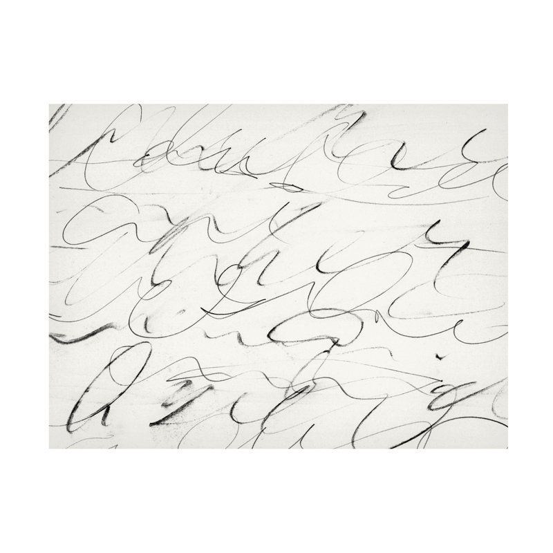 Art sur toile, bolologique Dan, H 14 po x l 19 po