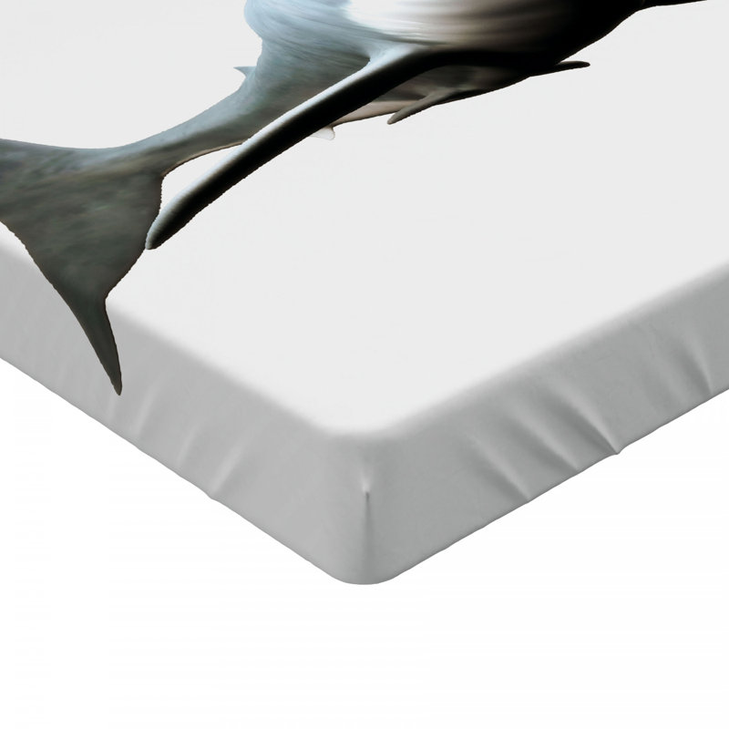 Shark Microfiber Fitted Sheet, Twin XL Fitted Sheet