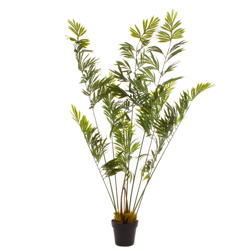 160cm Faux Real Touch Cycad Palm Tree