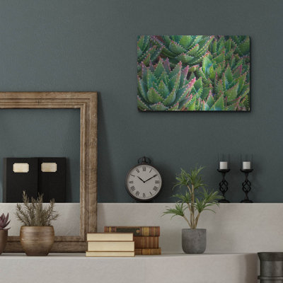 «Succulents II» par Dennis Frates