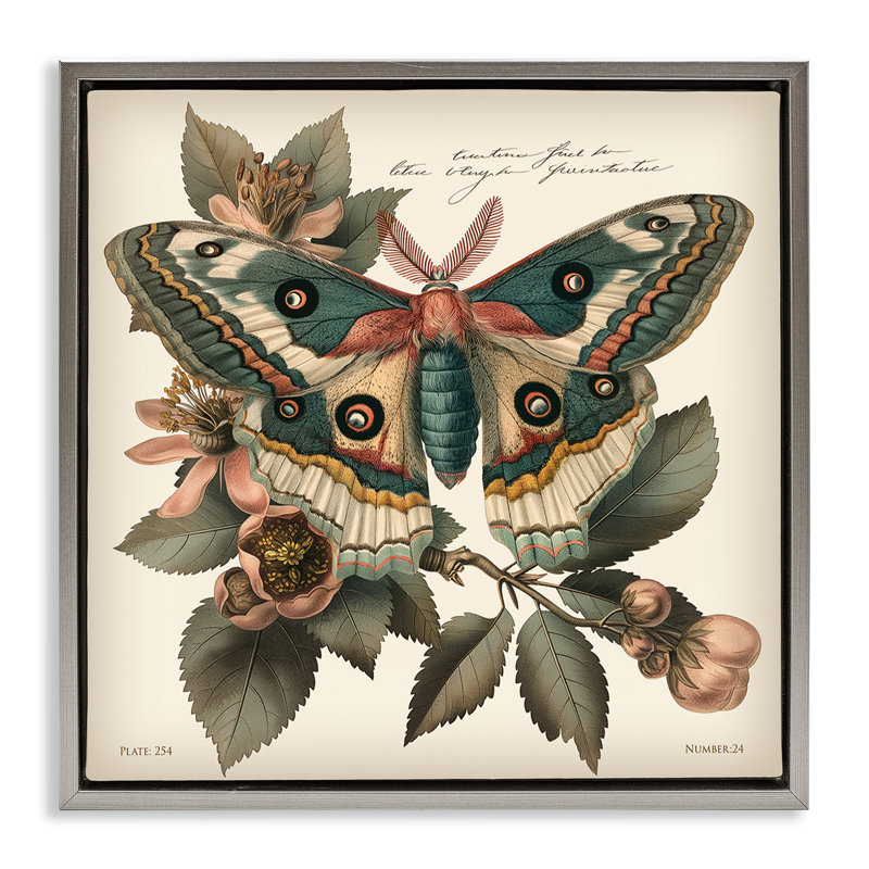 Art mural sur toile flottant vert à motif papillon de nuit par Steve Huntziker, H 18 po x l 18 po, Cadre flottant gris lustré