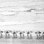 «A Day At The Beach», reproduction sur toile par Debra Van Swearingen