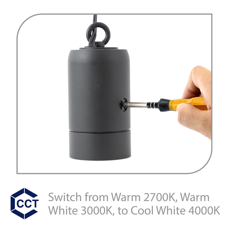 Monopoint intérieur ou extérieur à DEL Estrella 12 V avec angle de faisceau réglable et 3-CCT 2700K-3000K-4000K, Noir