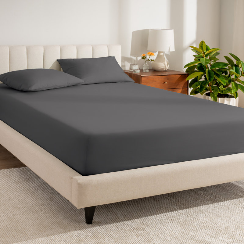 Drap-housse en percale de coton biologique à densité de tissage 300 fils, Gris, Drap-housse pour lit double TG
