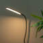 Ceona Clip On Lamp-1036385191
