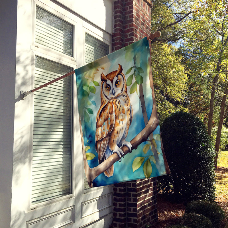 House Flag, Oriental Bay Owl