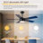  46" 5-blade Black Modern Ceiling Fan With Lights And Remote Control-1589971748