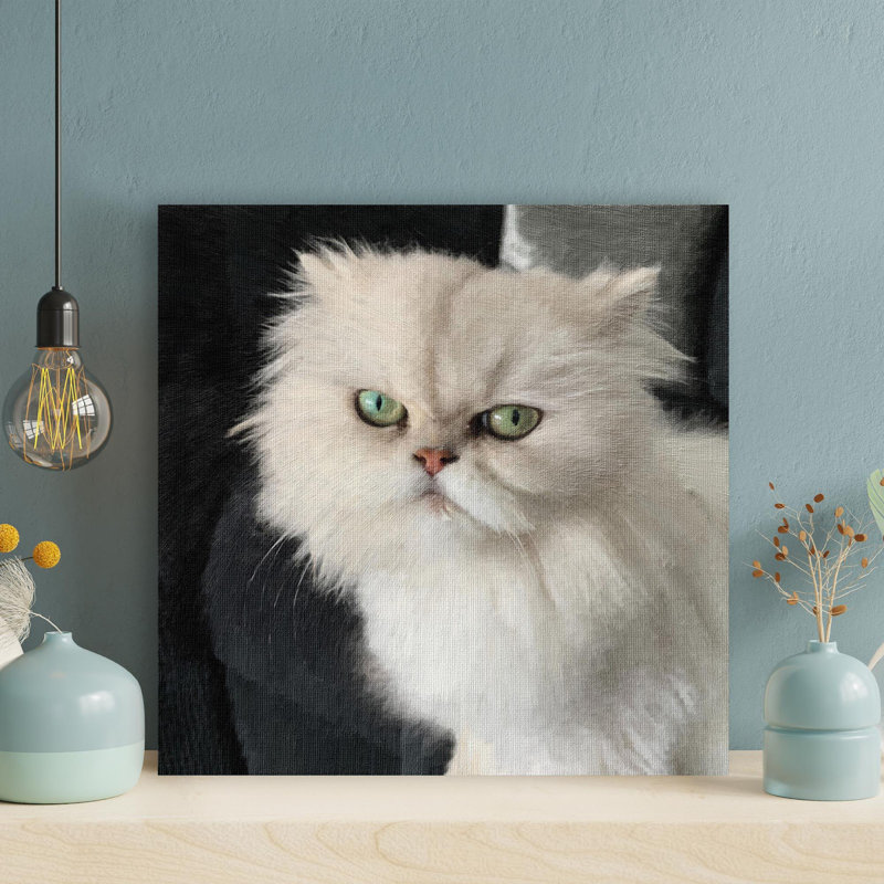 Macro photographie d'un chat persan blanc - 1 pièce, impression carrée sur toile tendue, H 32 po x l 32 po