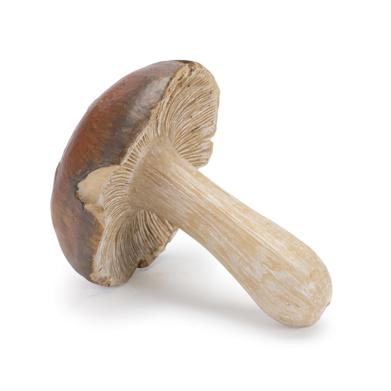 Ensemble de 12 tablettes en pierre Stone