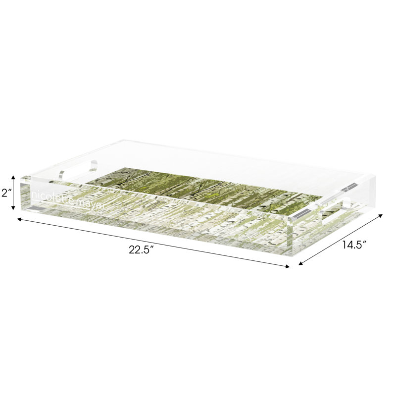 Birch Acrylic Rectangle Decorative Tray, 2" H x 22.5" W x 14.5" D, Forest Green
