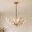 Flores 4-Light Chandelier in Noble Brass by Breegan Jane