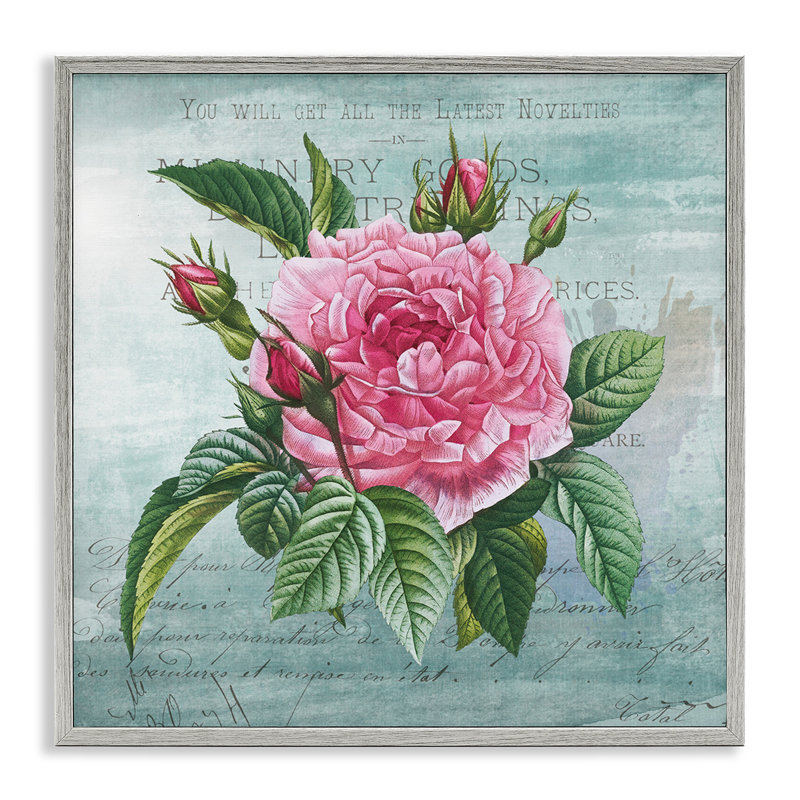 Dahlia rose sur estampe numérique encadrée, design par Susan Arnot, H 17 po x l 17 po, Estampe numérique Farmhouse