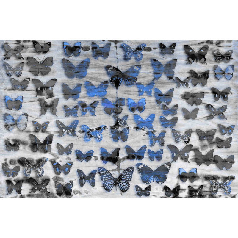 «Ayliana Flutter Byes» par Parvez Taj, reproduction sur toile, H 20 po x l 30 po x P 1,5 po