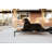 Cooling Elevated Dog Bed-323313728