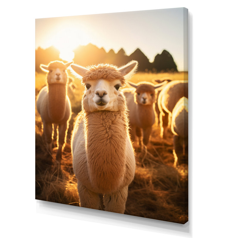 «Alcapas Pastoral Harmony», reproduction sur toile, H 20 po x l 12 po, Toile tendue