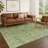 Machine Washable Indoor/Outdoor Hashlamoun ACN2324 Ikat Rug-199950113